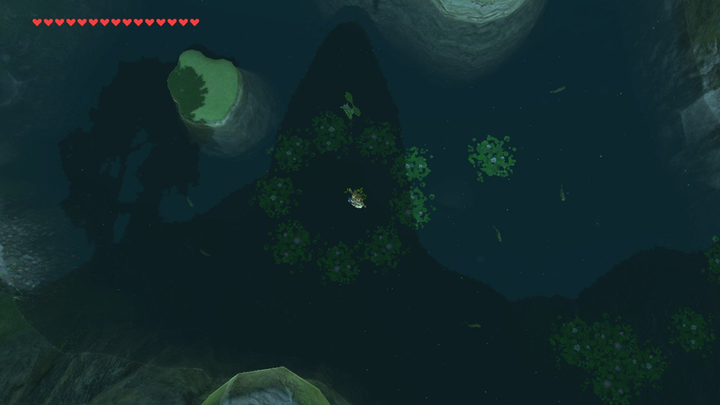 Swimming with the fish.